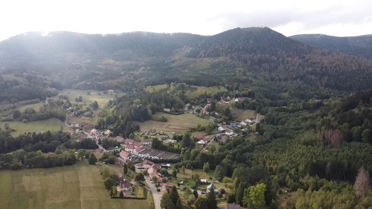 De La Falle Apartamento